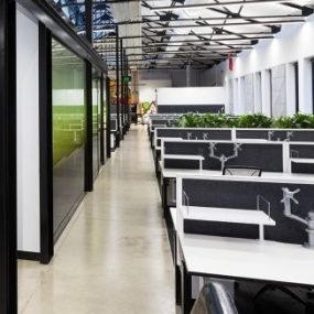 White polished concrete office premises